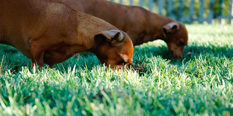 东莞五金与工业材料最佳实践:从制造到智造的品质跃迁