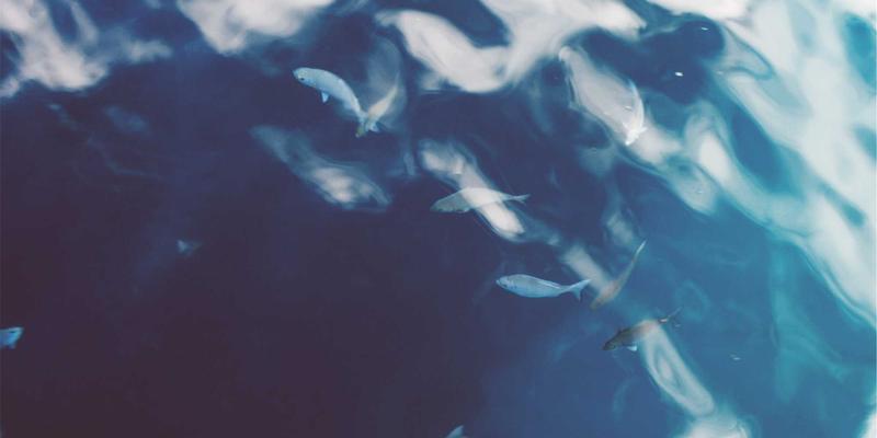 从东莞五金到工业材料新前沿：高安全性陶瓷涂层隔膜如何重塑锂离子电池未来