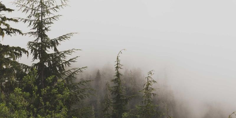 从工业材料到生命守护：生物可降解高分子如何革新医疗器械与东莞五金紧固件产业