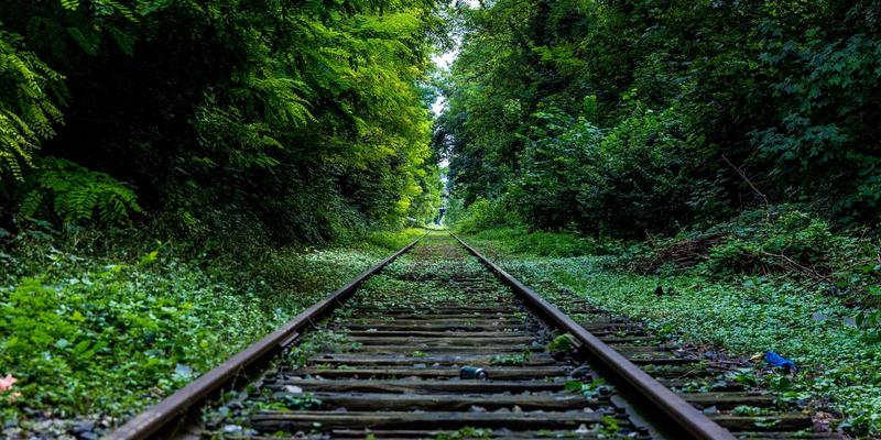 从工业紧固件到生命支柱：生物医用金属植入物的表面功能化革命