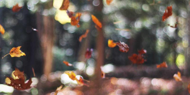 工业材料解析：五金制品、金属配件与工具如何构建现代工业基石