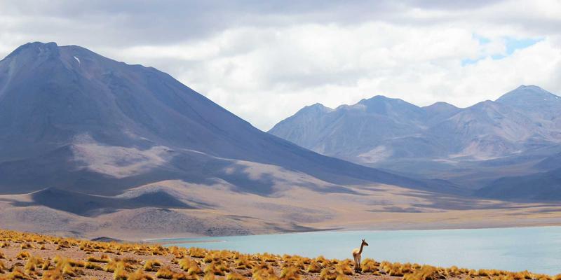 工业粘合剂与密封胶：东莞五金制品在严苛环境下的可靠性保障方案