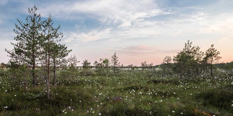 工业级石墨烯如何赋能导电与散热领域？东莞五金与紧固件产业迎来材料革命