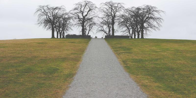 生物可降解高分子材料革新环保包装：工具、金属配件与紧固件的绿色转型