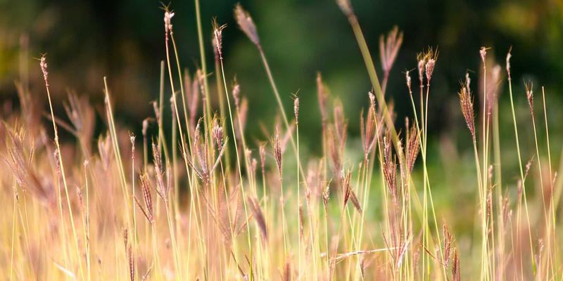 紧固件与金属配件制造业供应视角：高温合金在航空发动机热障涂层中的应用与挑战