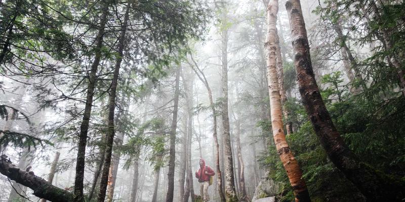 绿色建筑材料如何推动可持续城市发展：东莞五金与制造业供应的转型之路